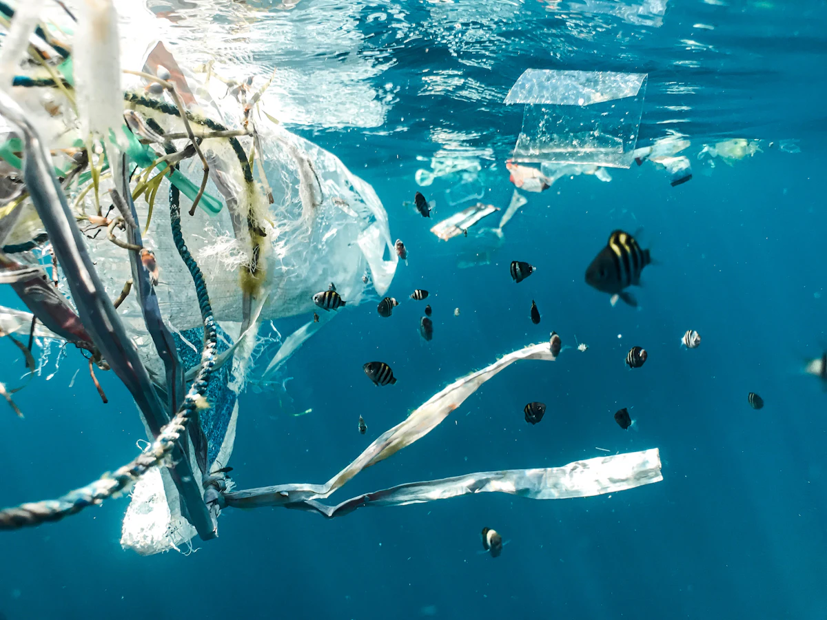 Scientists Develop Super-Enzyme That Breaks Down Plastic in 24 Hours